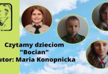 Zuchy i ich wersja „Bociana” Marii Konopnickiej