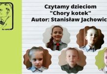 Zuchy i ich wersja „Chorego kotka” Stanisława Jachowicza