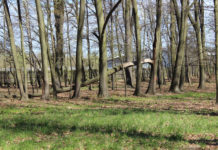 Rewaloryzacja Parku Miejskiego w Nisku