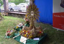 Dożynki powiatu niżańskiego