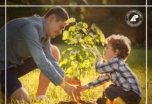 Darmowe drzewka od Nadleśnictwa Rozwadów do posadzenia w swojej okolicy