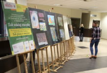 Rysunki, wiersze, muzyka w bibliotece