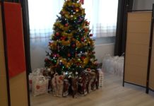 Opłatek Maltański inny niż zwykle