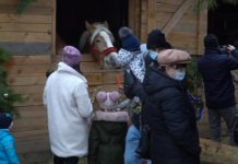 Żywa szopka w Nisku