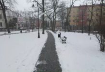 Dwa niżańskie projekty