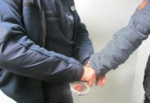 Odpowie za zabicie psa