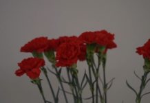 Dzień Kobiet w Muzeum Regionalnym