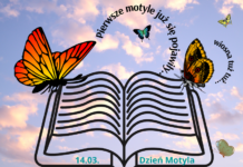 Dzień Motyla – kolorowy 14 marca