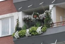 Trwa przyjmowanie zgłoszeń do konkursu “Pamiętajcie o ogrodach i balkonach”