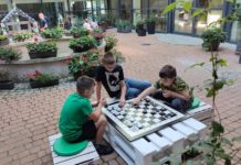 Z zielonego patio korzystają najmłodsi i dorośli