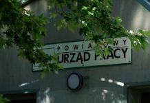 Bezrobocie w powiecie stalowowolskim