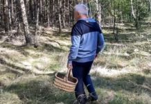 Grzybiarze – apelujemy o rozwagę! – Aktualności