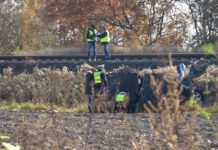 Tragiczny wypadek w Antoniówce