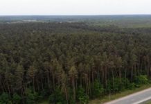 Miasto zakupi kolejne tereny leśne