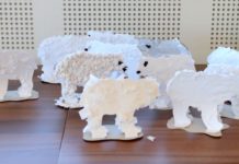 Z niedźwiedziami i misiami na zakończenie ferii