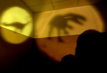 Dinozaury na ścianach