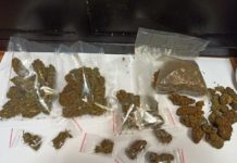 Niżańscy kryminalni zabezpieczyli narkotyki. 30-latek usłyszał zarzuty