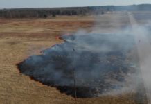 Straż pożarna apeluje – stop pożarom traw!
