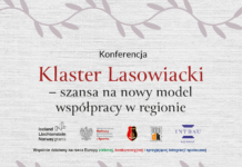 Konferencja „Klaster Lasowiacki – szansa na nowy model współpracy w regionie”