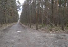 Miliony z Lasów Państwowych na infrastrukturę drogową w gminie Nisko