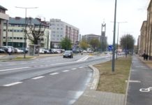 Niebawem ruszą nasadzenia na ul. Popiełuszki