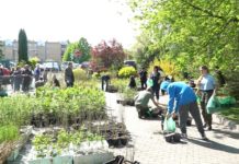 Za nami kolejna edycja akcji „Drzewko za makulaturę”