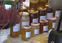 Przed nami VII Forum Pszczelarskie „Stalowa pszczoła nie istnieje”