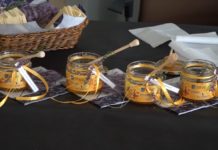 VII Forum Pszczelarskie za nami