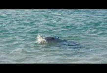 Już w środę kolejny seans z cyklu „Kino Kobiet”