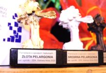 Podsumowanie konkursu „Pamiętajcie o ogrodach i balkonach”