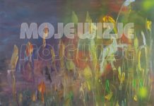 Wernisaż wystawy “Moje wizje”