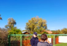 Podsumowanie działań „Bezpieczny Ogród”