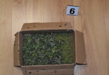 Policjanci zabezpieczyli blisko kilogram narkotyków