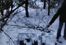 Skradzione przedmioty ukryli pod gałęziami