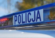 Wspólne działania policjantów ze strażnikami leśnymi