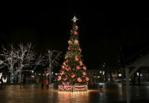 Konkurs na Najładniejszą witrynę na Rozwadowskim Rynku