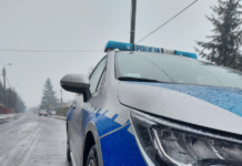 15 dni aresztu dla 36-latka