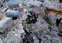 Zbiórka darów dla poszkodowanych w Turcji