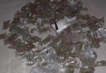 Odpowiedzą za przestępstwa narkotykowe