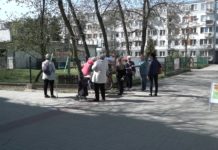 Prawie tysiąc podpisów przeciwko wycince drzew