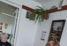 Osiecka i Przybora w DPS