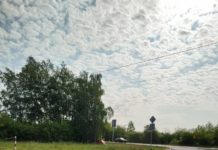 Zatrzymani nietrzeźwi kierowcy