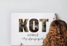 Prezent na urodziny dla miłośniczki kotów. Co uszczęśliwi prawdziwą kociarę?