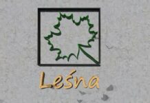 Ruszył nabór na mieszkania na Osiedlu Leśna