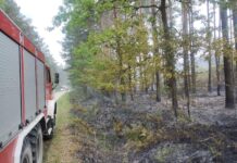 Pożar na poligonie wojskowym Lipa