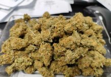 Sprawca kradzieży sklepowej zatrzymany za posiadanie narkotyków