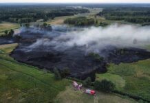 Duży pożar łąki przy linii kolejowej