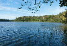 Policjanci uratowali mężczyznę
