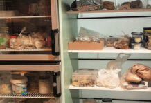 W Stalowej Woli pojawi się mobilna jadłodzielnia