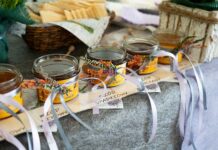 IX Forum Pszczelarskie w Stalowej Woli